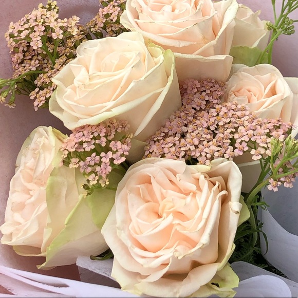 Meet your Posher, R - Picture 1 of 1